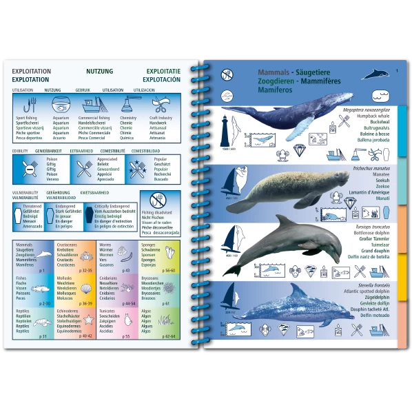 LIVRE PICTOLIFE CARAIBES Immergeable 2 LIVRE PICTOLIFE CARAIBES Immergeable – Image 2