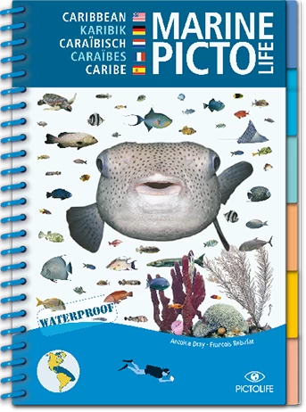 LIVRE PICTOLIFE CARAIBES Immergeable 1 LIVRE PICTOLIFE CARAIBES Immergeable