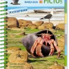 LIVRE PICTOLIFE MAREE BASSE ATLANTIQUE EST Immergeable