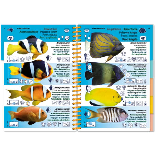 LIVRE PICTOLIFE OCEAN INDIEN ET MER ROUGE Immergeable 2 LIVRE PICTOLIFE OCEAN INDIEN ET MER ROUGE Immergeable – Image 2