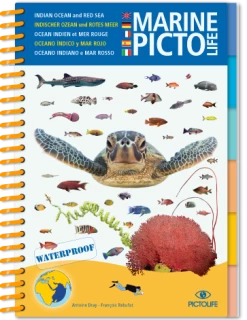 LIVRE PICTOLIFE OCEAN INDIEN ET MER ROUGE Immergeable