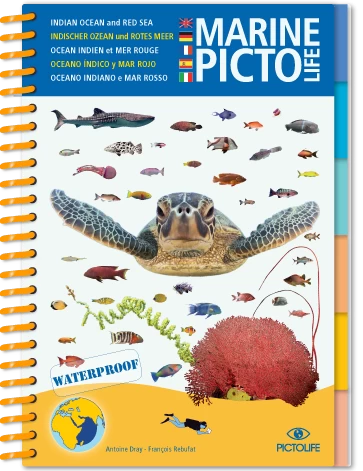LIVRE PICTOLIFE OCEAN INDIEN ET MER ROUGE Immergeable 1 LIVRE PICTOLIFE OCEAN INDIEN ET MER ROUGE Immergeable