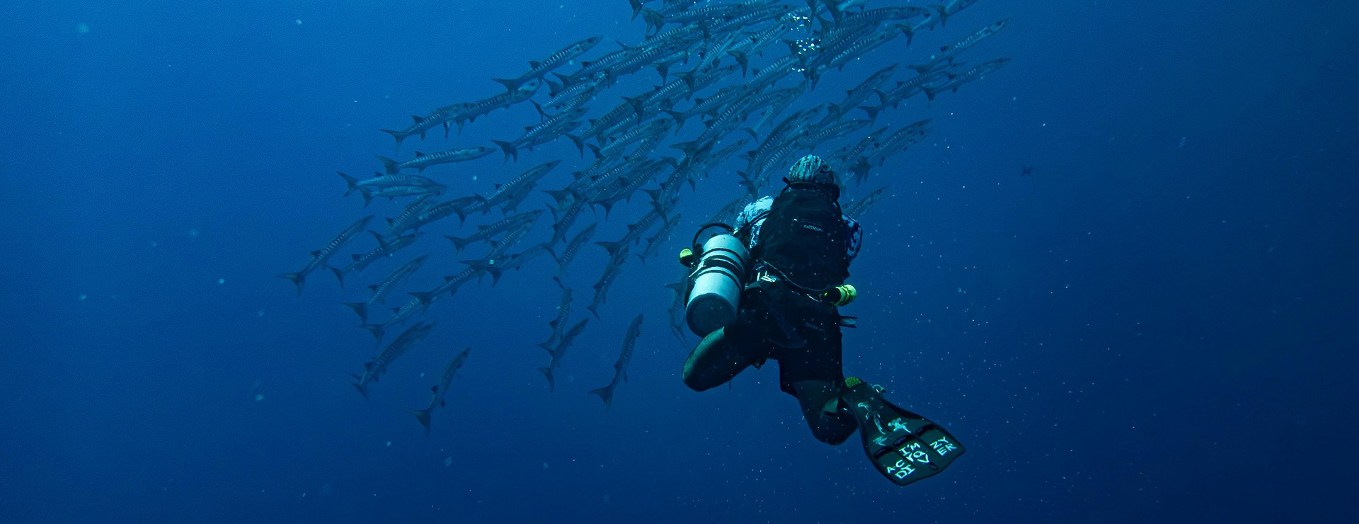 Arimair -Arimair barracuda 8939250 1920