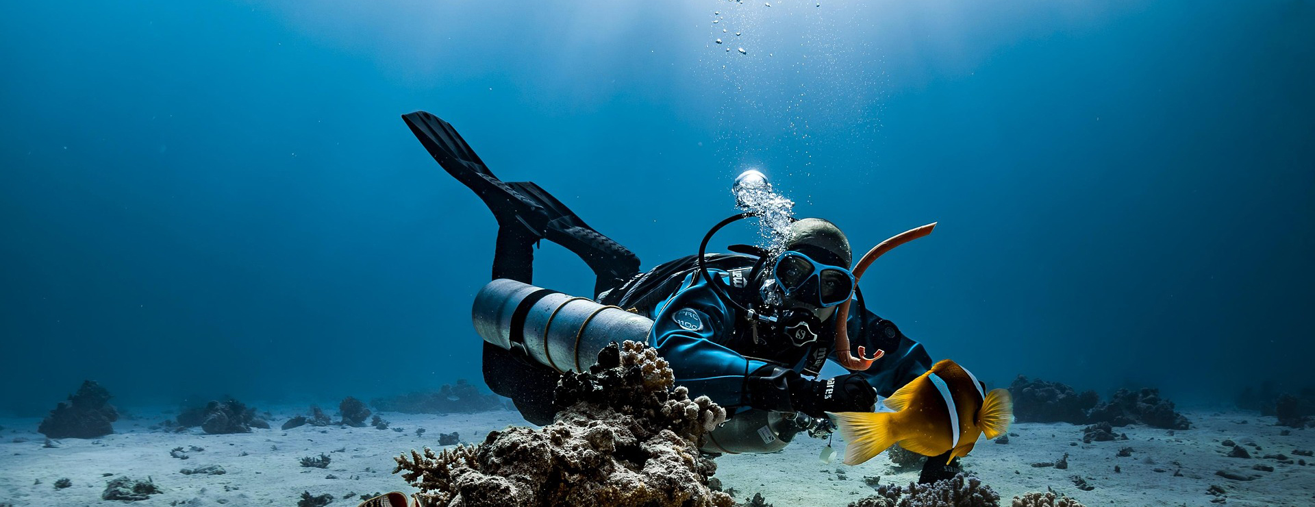 Arimair -Arimair diver 9328628 1920